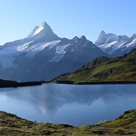 페리엔보눙 히르쉔 그린델발트