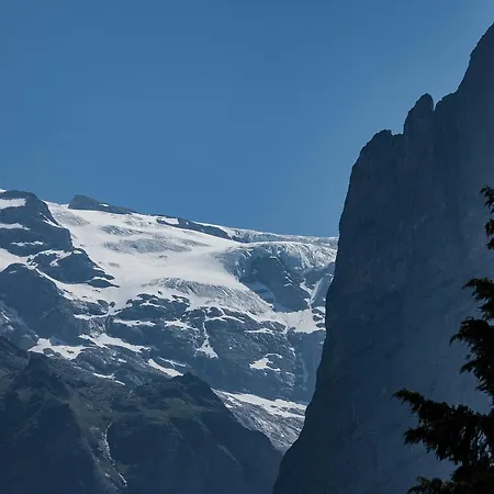 페리엔보눙 히르쉔 * 그린델발트