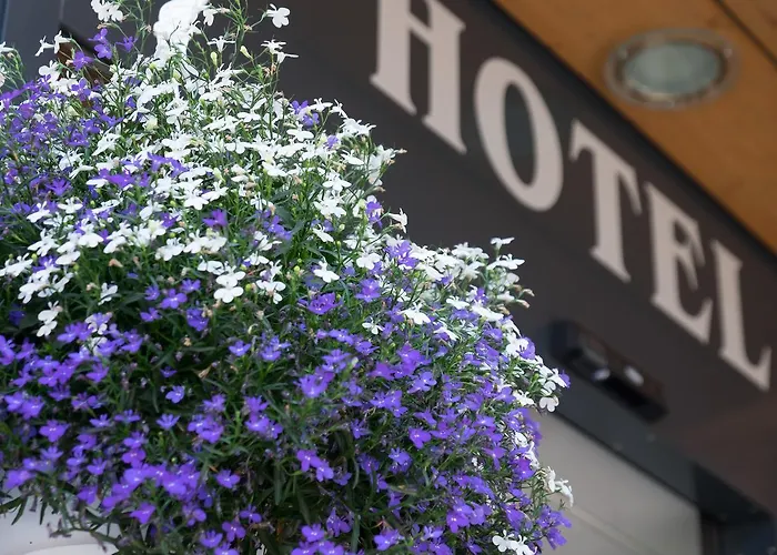 Hirschen Apartment Grindelwald